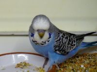 ws-babys2012.013.jpg